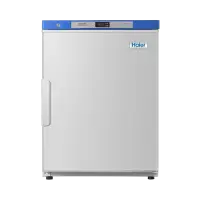 Haier DW-25L92SF